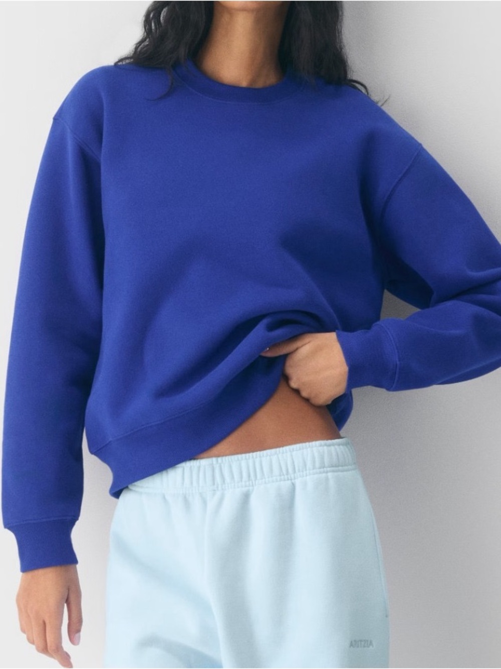 Aritzia Cozy Sweatfleece Perfect Cree Sweatshirt Blue Medium
